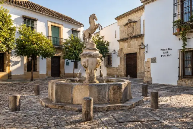 El Potro y la Ribera