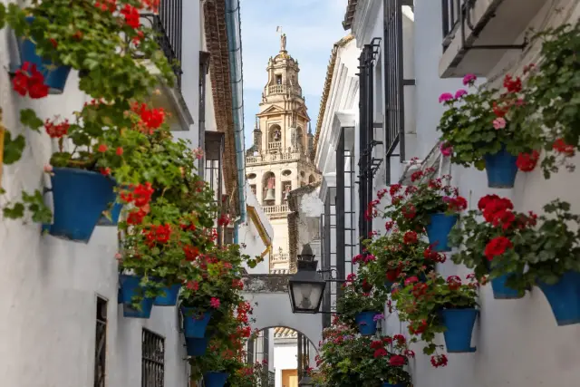 La Mezquita y la Judería